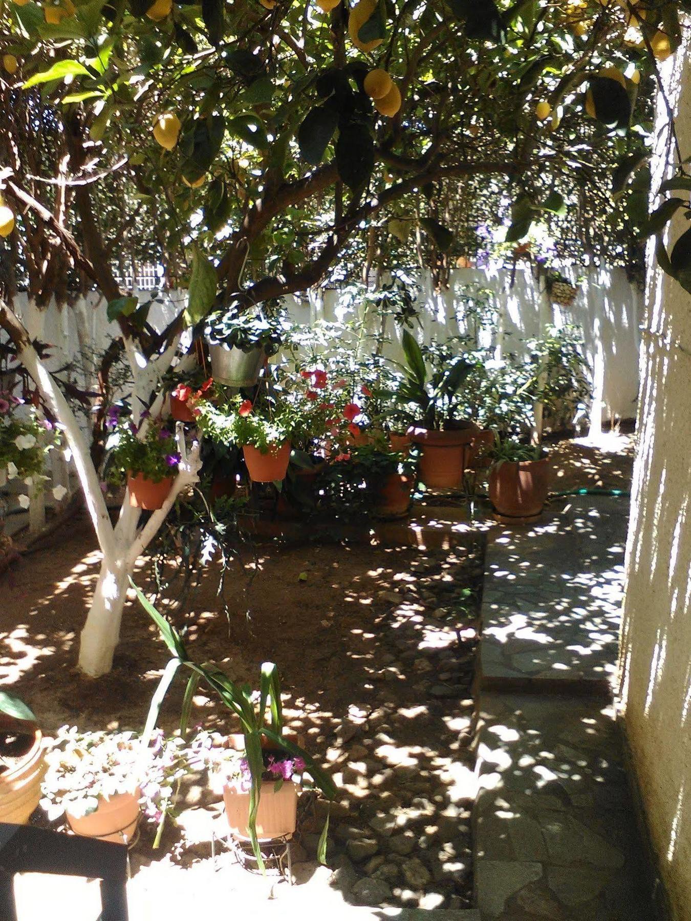 Aparthotel Iliahtides Amarynthos Exterior photo
